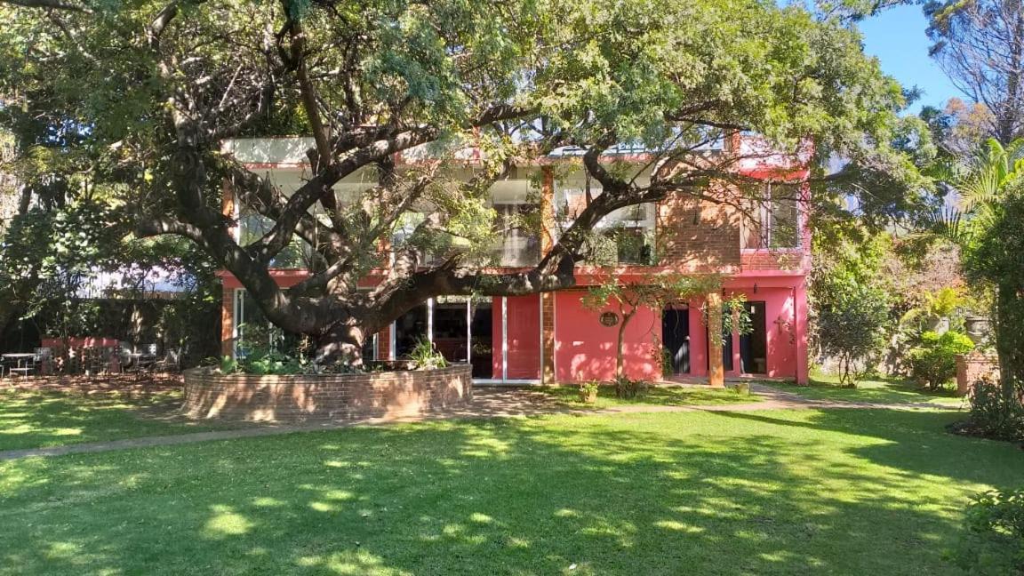 Casa Amor Tepoztlan Ngoại thất bức ảnh